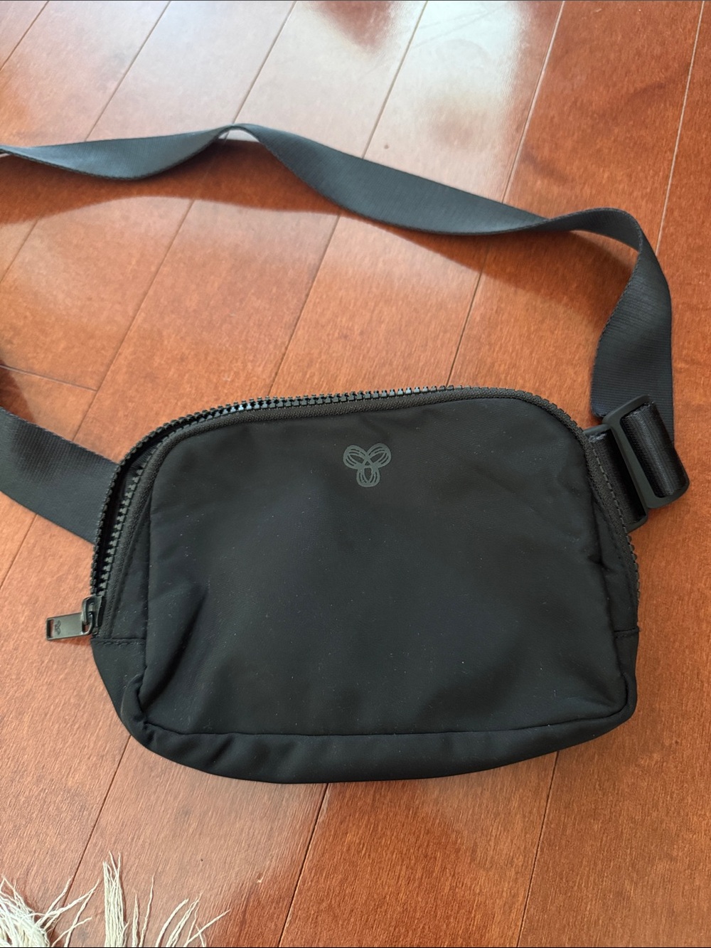 Aritzia Black Compact Crossbody Waist Bag